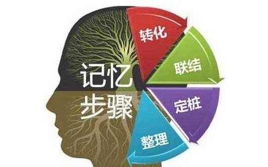 卓越偉業(yè)記憶教程加盟