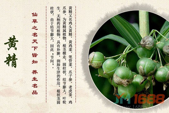 貴珍草種植加盟-1688加盟網(wǎng)