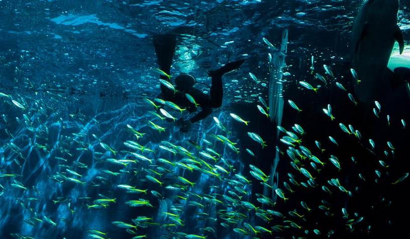 東海龍宮水族館加盟