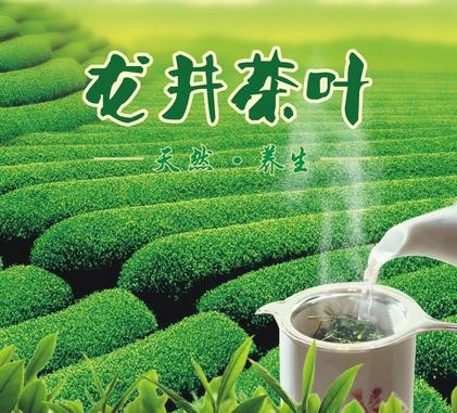 龍井茶葉加盟