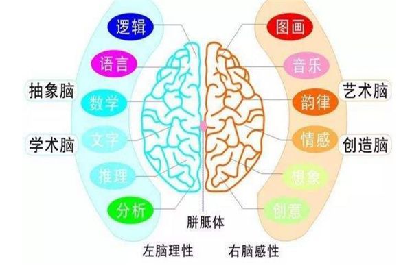 憶觸記發(fā)啟明星全腦教育加盟優(yōu)勢(shì)