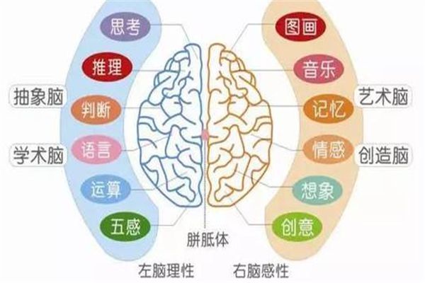 圣麟翔教育全腦開發(fā)加盟