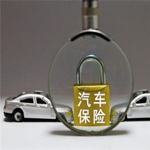 宜思家車(chē)險(xiǎn)加盟