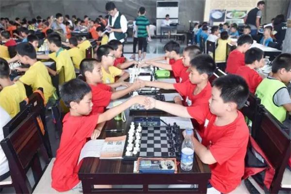 維維國際象棋俱樂部加盟