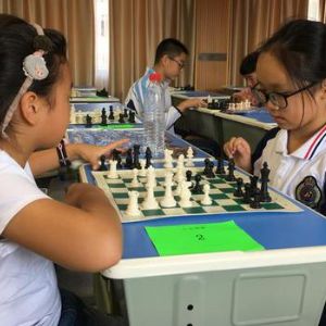 維維國際象棋俱樂部加盟