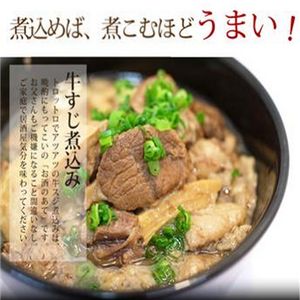 嶺峰牌日本風(fēng)味菜加盟