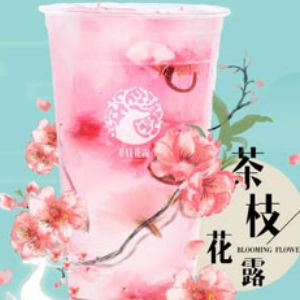 茶枝花露加盟