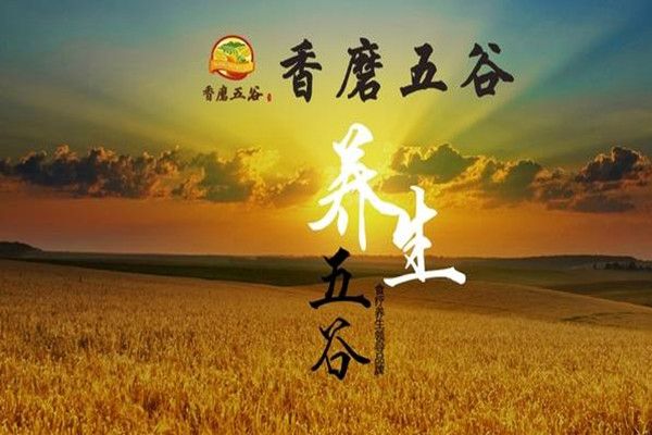 香磨五谷食療養(yǎng)生加盟