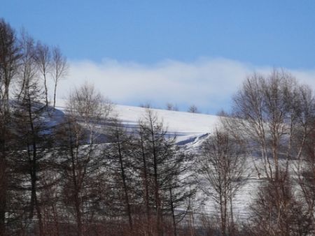 萬(wàn)龍滑雪加盟