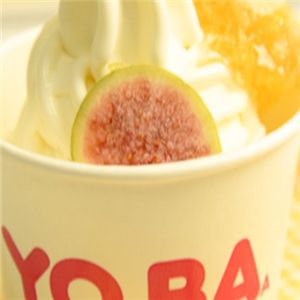 yoba酸奶加盟