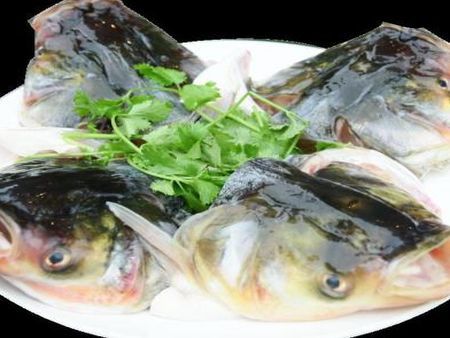 重慶潭魚(yú)軒魚(yú)頭火鍋加盟