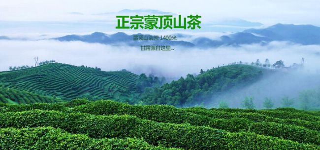 蒙頂山茶誠邀加盟