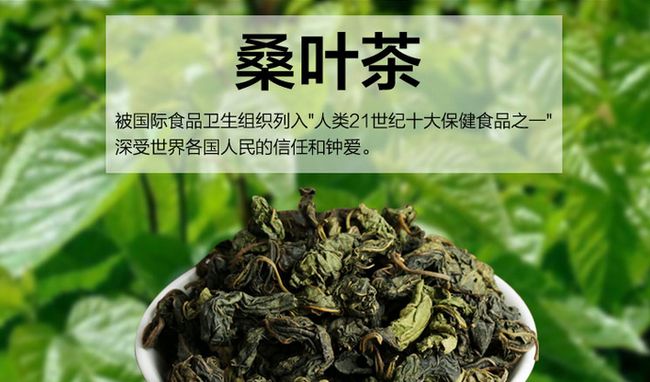 桑葉茶加盟