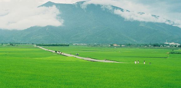 田園牧場鮮奶吧加盟