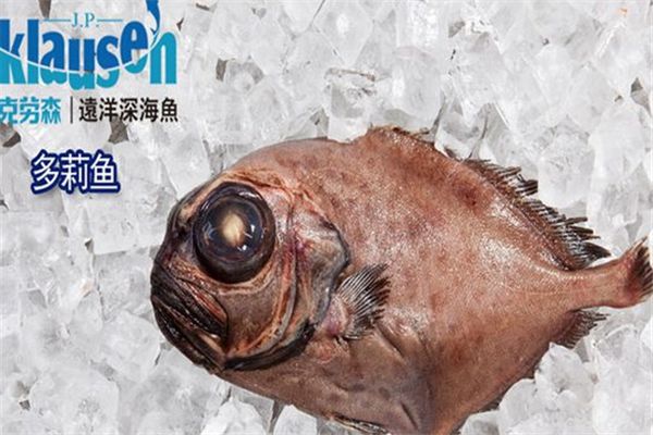 克勞森深海魚(yú)加盟