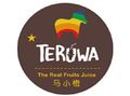 teruwa馬小橙加盟