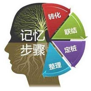 偉業(yè)記憶教程加盟