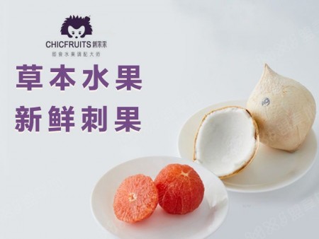 CHICFRUITS刺果果加盟