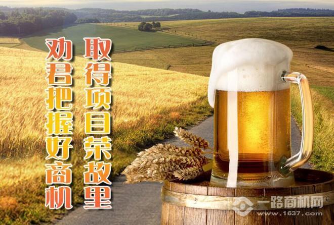 揚(yáng)子健康啤酒加盟